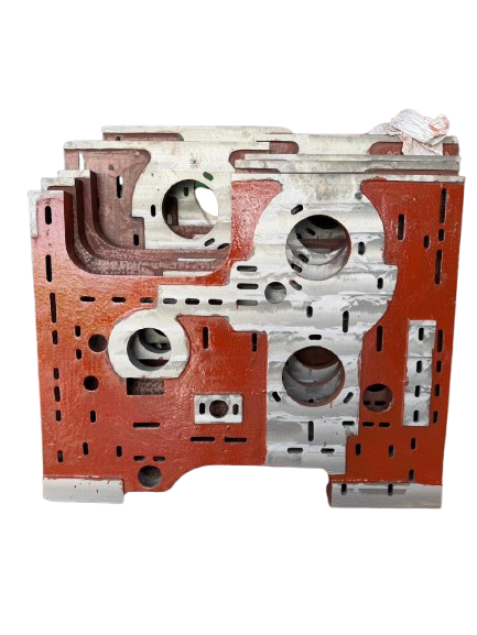 whatsapp image 2026 02 28 at 16.16.13 1 removebg preview